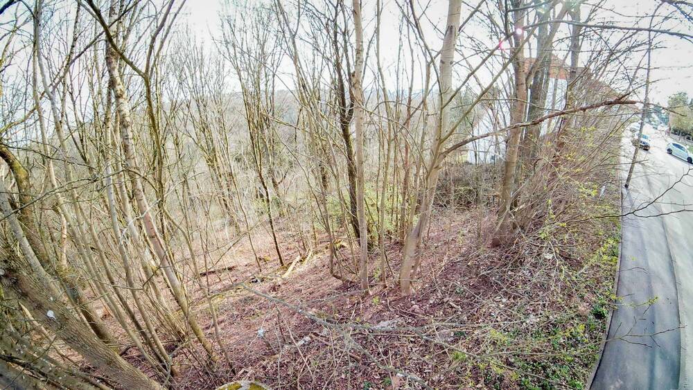 Grundstück Pirmasens Innenstadt - 69.500&euro; | Angebot:19305035