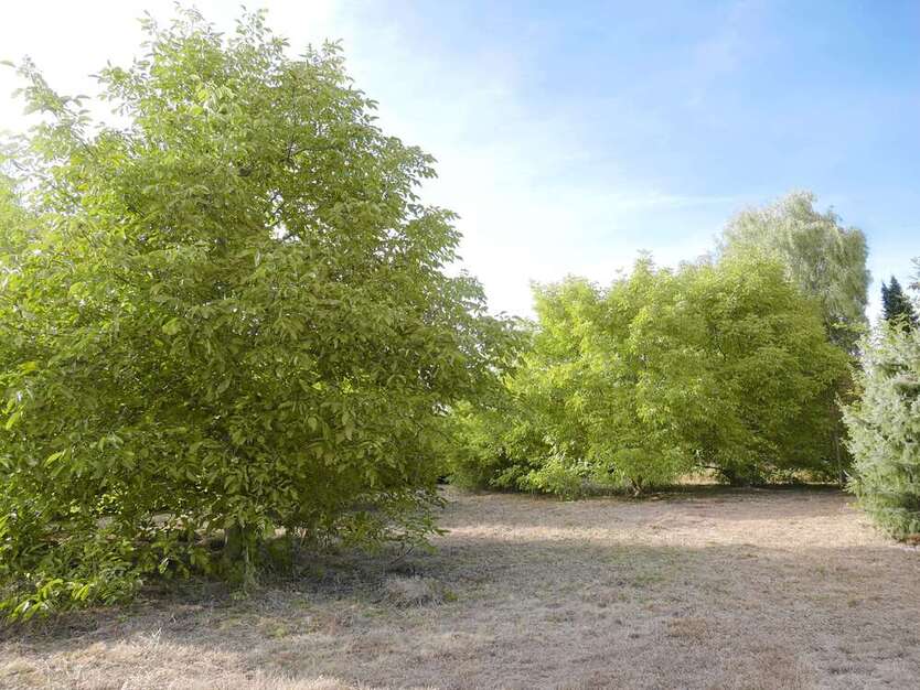 Grundstück zu verkaufen in Kassel 245.000 € 679 m²