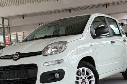 Fiat Panda 62.546 km 6.991 &euro; Siegen 57078