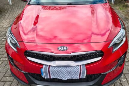 Kia XCeed 33.500 km 20.800 &euro; Reeßum 27367