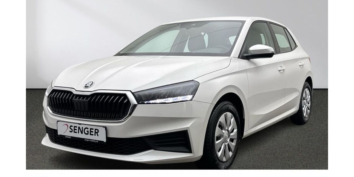 Skoda Fabia 13.618 km 18.880 &euro; Emsdetten 48282