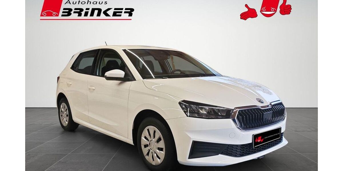 Skoda Fabia 23.905 km 13.530 &euro; Bielefeld 33649