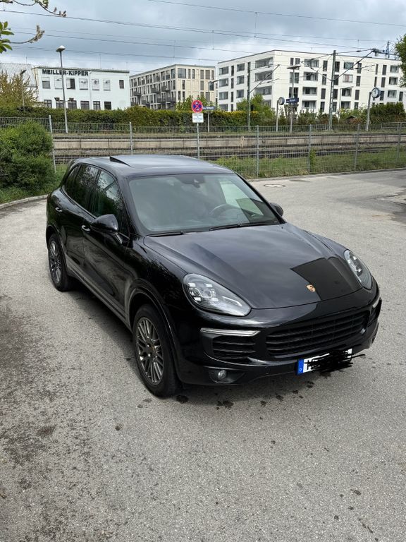 Cayenne