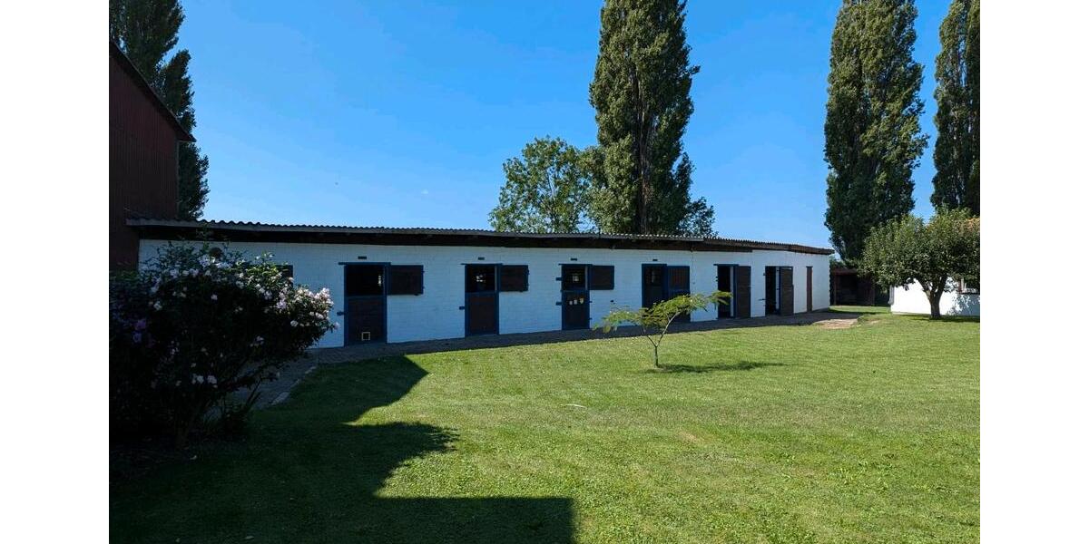 Mehrfamilienhaus, Wohnhaus Salzgitter Ortschaft Nord - 44 Zimmer, 400 m&sup2;, 500.000&euro; | Angebot:23512774