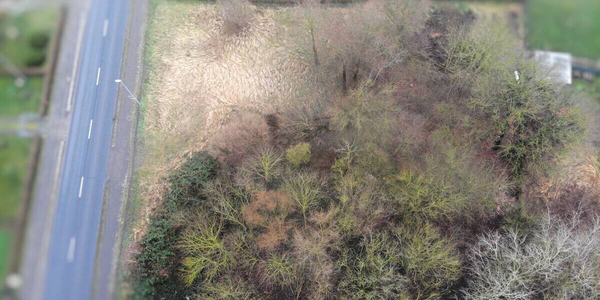 Grundstück Cölpin - 79.900&euro; | Angebot:25731342