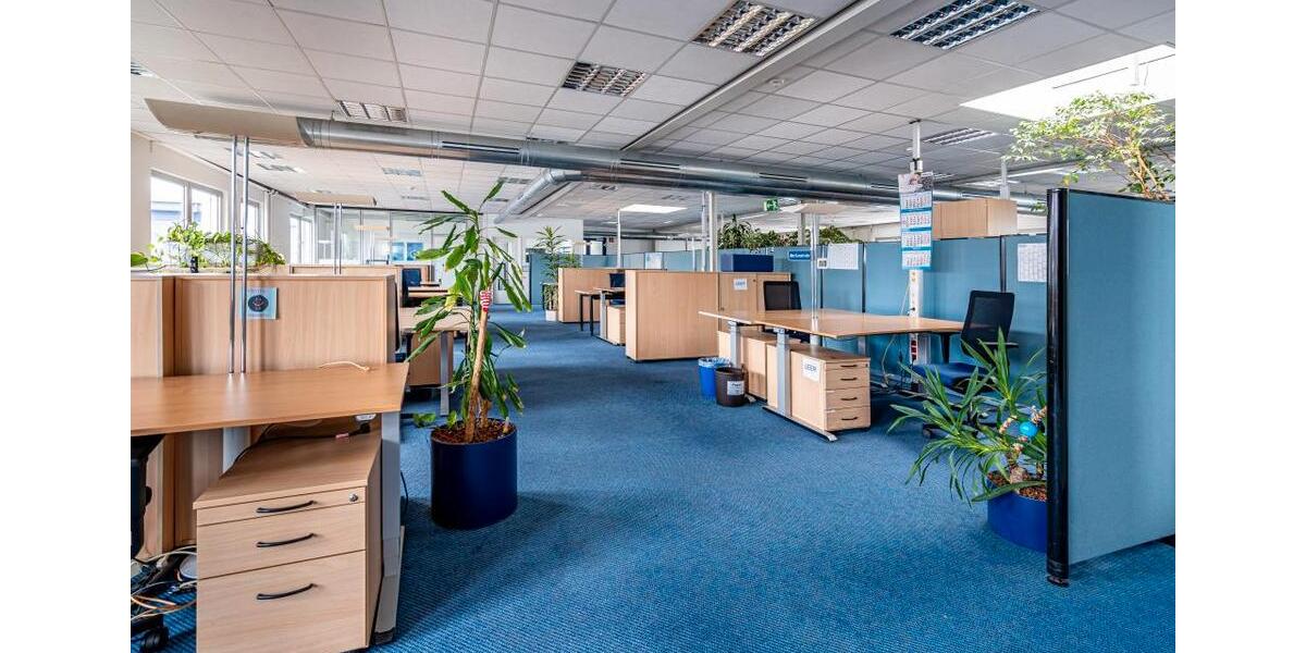 Gewerbeobjekt Kölln-Reisiek Reisiek - 850&euro; | Angebot:18994770