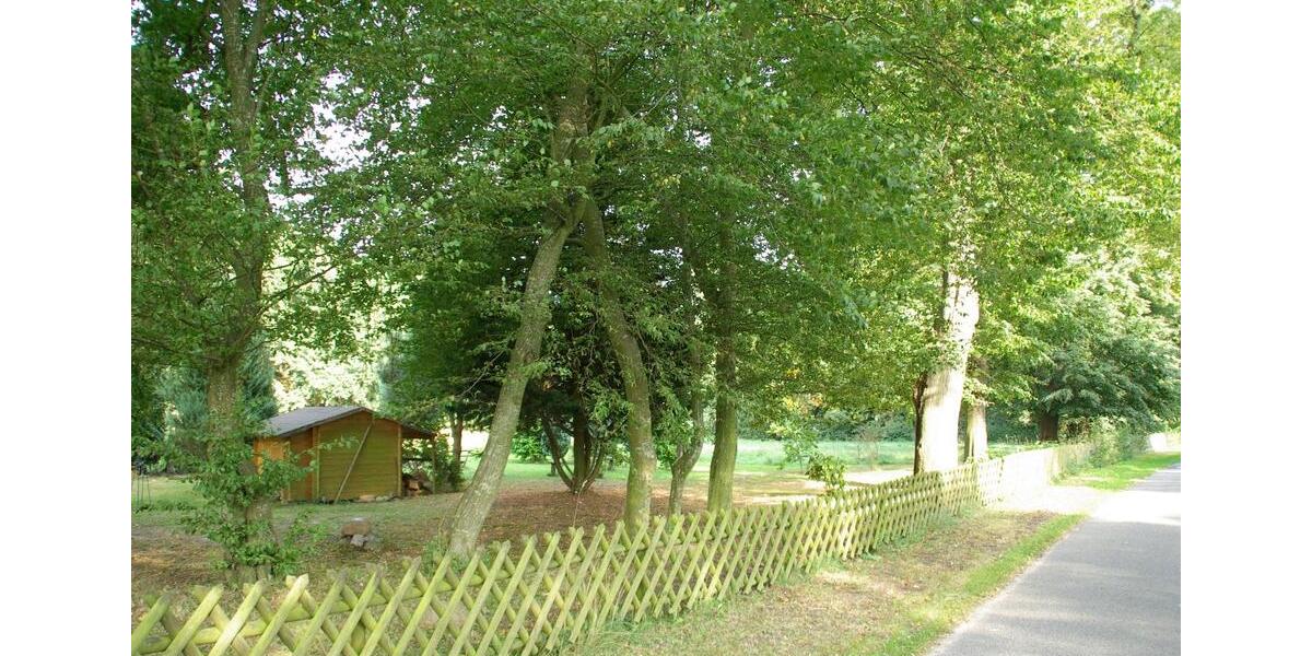 Etagenwohnung Tribsees - 2 Zimmer, 85 m&sup2;, 495&euro; | Angebot:26439625