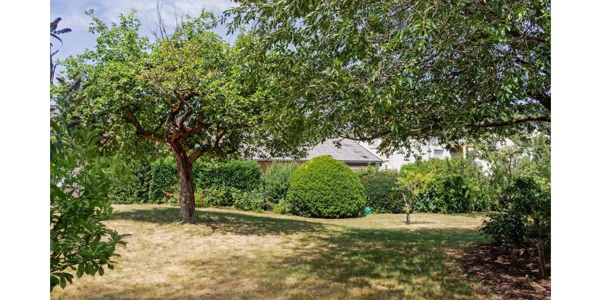 Achtung Luxpendler-Freistehendes Wohnhaus mit Einliegerwohnung + tollem Grundstück Wasserliesch - Einfamilienhaus Wasserliesch | Angebot:27118131