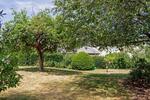 Achtung Luxpendler-Freistehendes Wohnhaus mit Einliegerwohnung + tollem Grundstück Wasserliesch - Einfamilienhaus Wasserliesch | Angebot:27118131