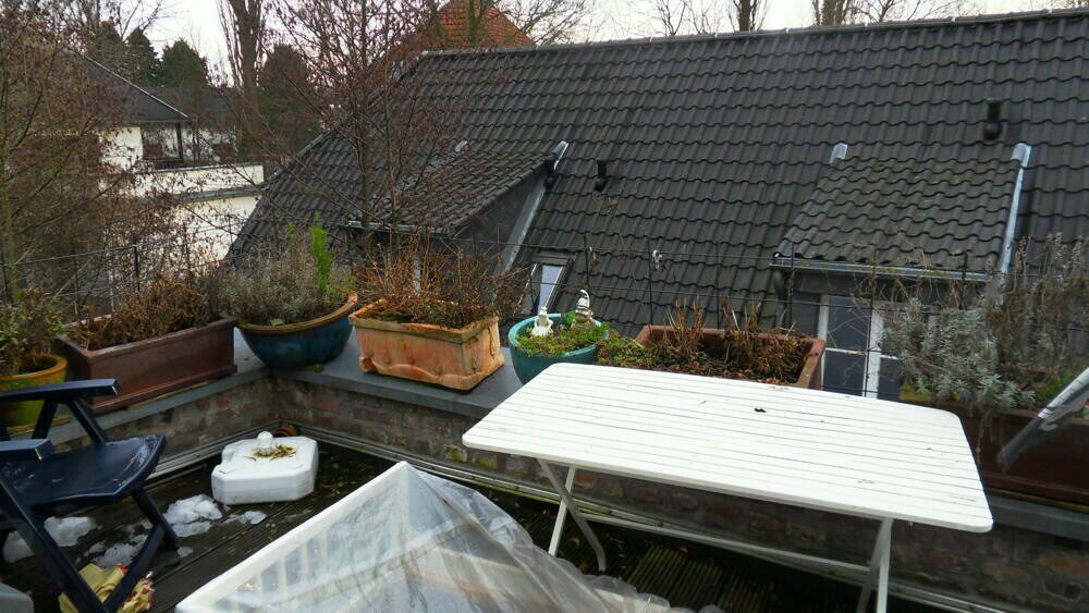 Die ehemalige 
