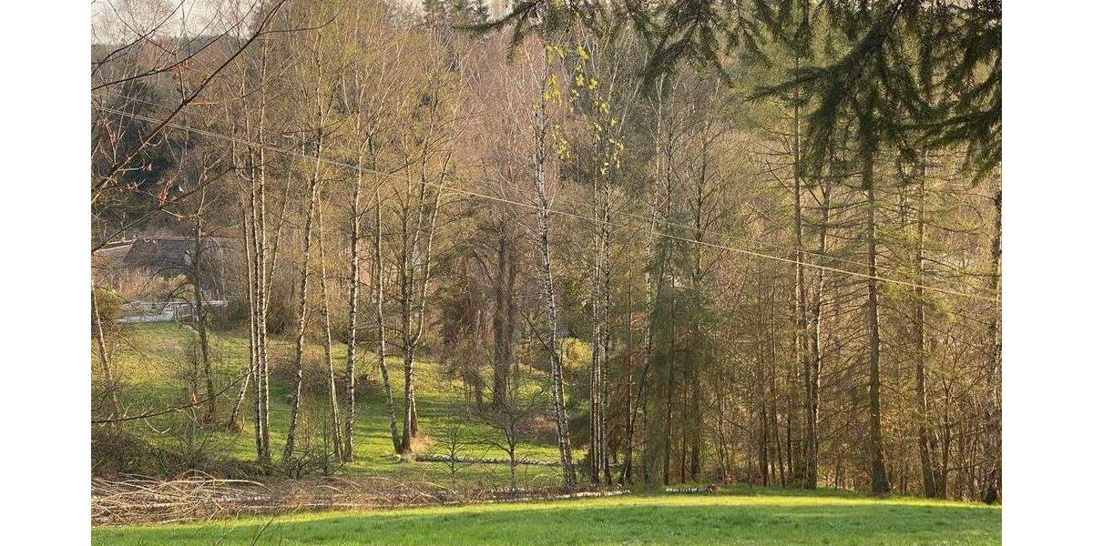 Grundstück Flossenbürg - 170.000&euro; | Angebot:26036735