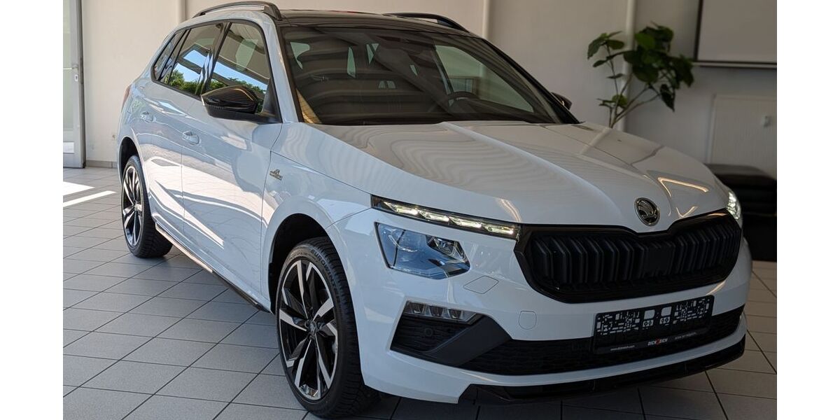 Skoda Kamiq 18.680 km 27.480 &euro; Homberg (Efze) 34576