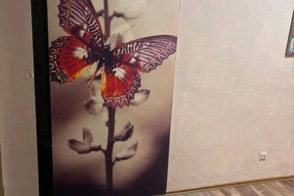 3 Zimmer Wohnung 3 zimmer