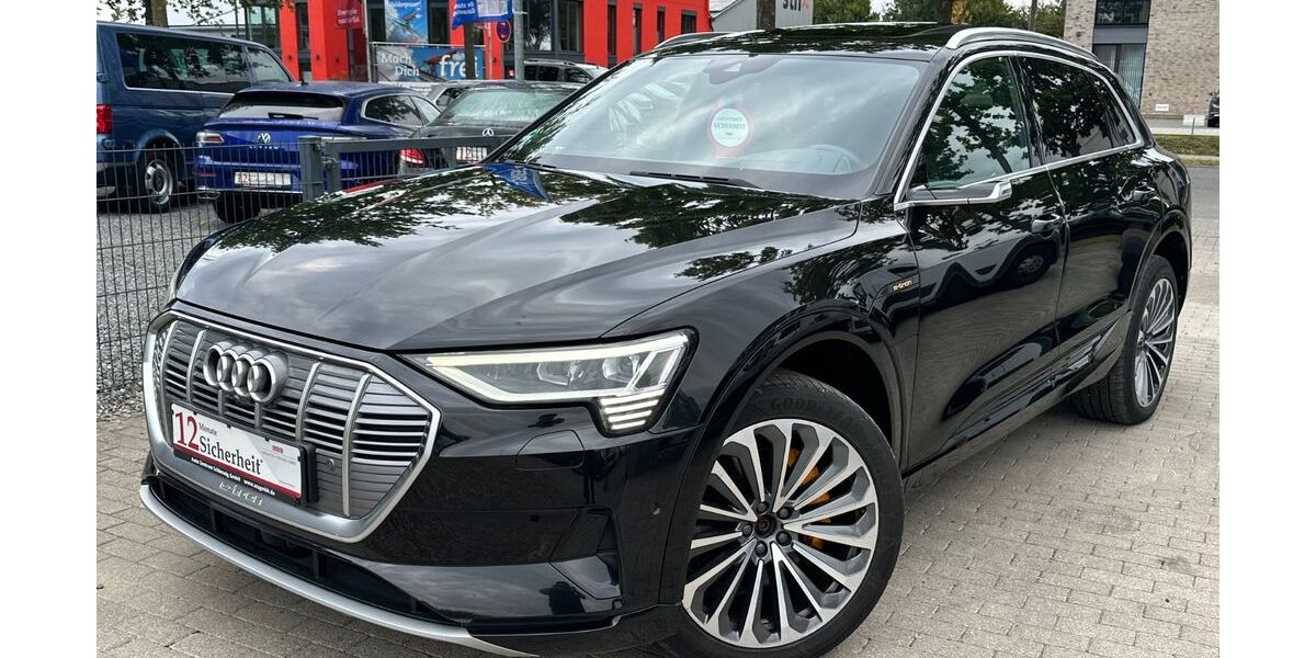 Audi e-tron 111.000 km 29.990 &euro; Schleswig 24837