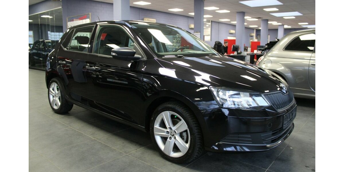 Skoda Fabia 1.0 MPI Cool Edition 84.870 km 7.480 &euro; Euskirchen 53881