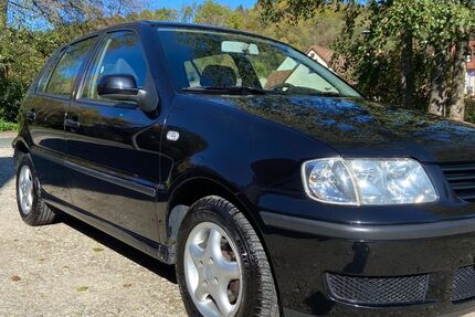 VW Polo 155.732 km 1.650 € Dietenhofen 90599