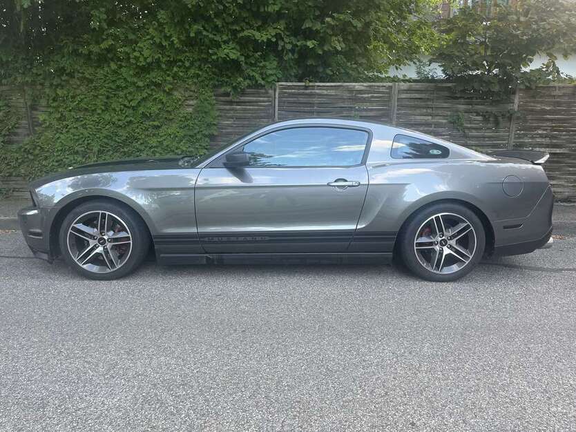 Mustang