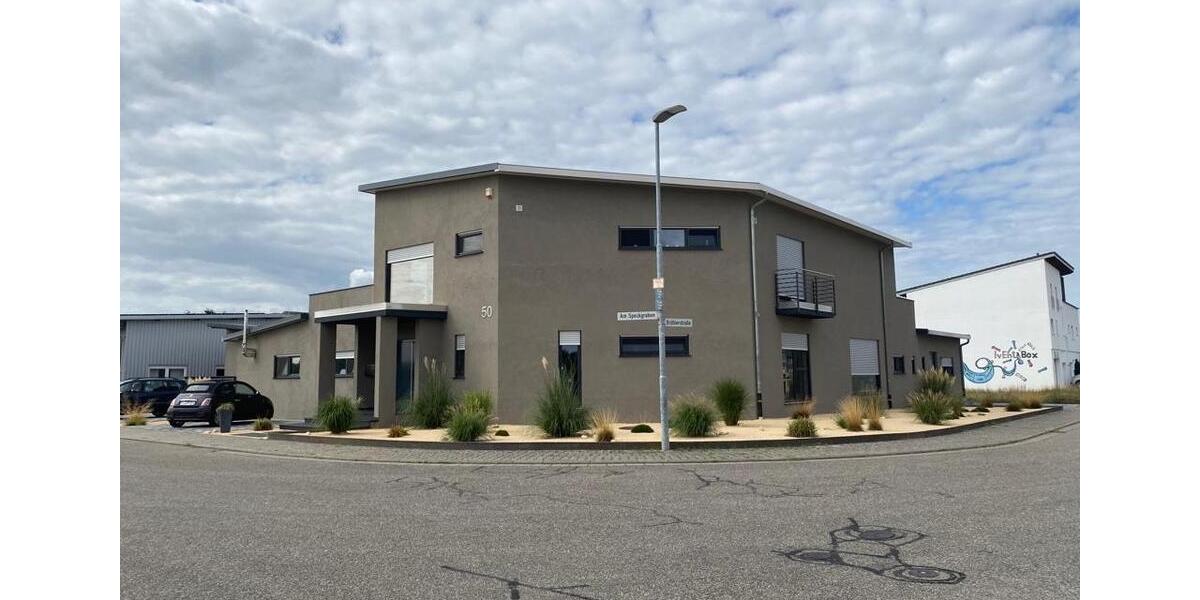 Villa Hambrücken - 4 Zimmer, 390 m&sup2;, 1.690.000&euro; | Angebot:24491265