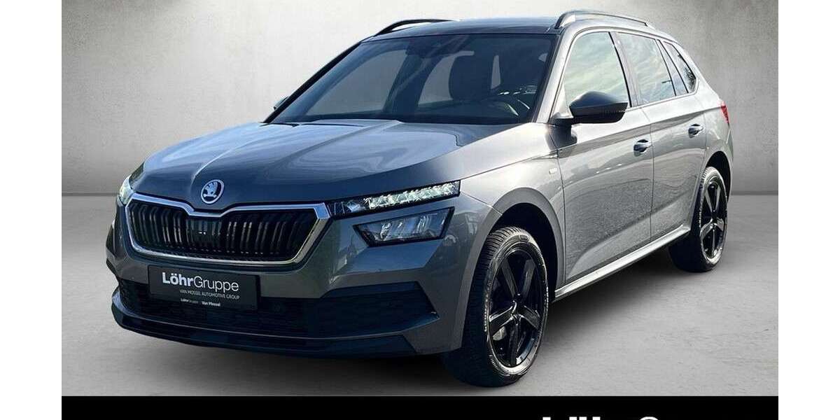 Skoda Kamiq 46.048 km 18.330 &euro; Mainz 55120