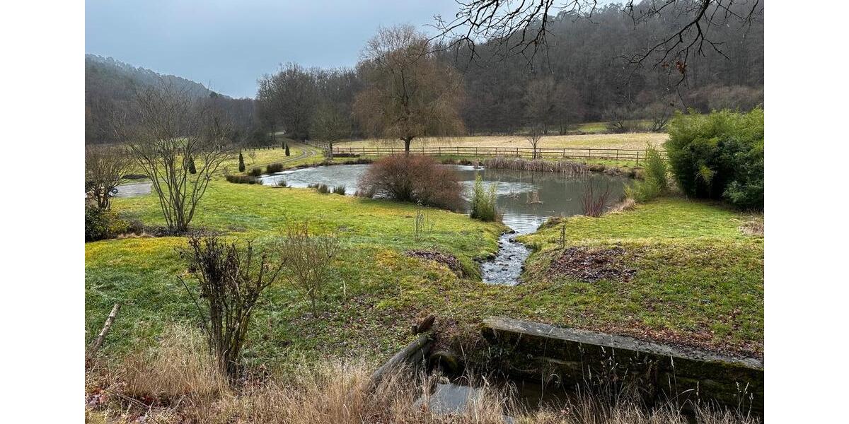 Einfamilienhaus Simmern/Hunsrück Hunsrück - 675.000&euro; | Angebot:26056146