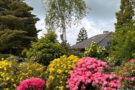 Einfamilienhaus mit vielen Möglichkeiten in ruhiger Sackgasse 6 zimmer