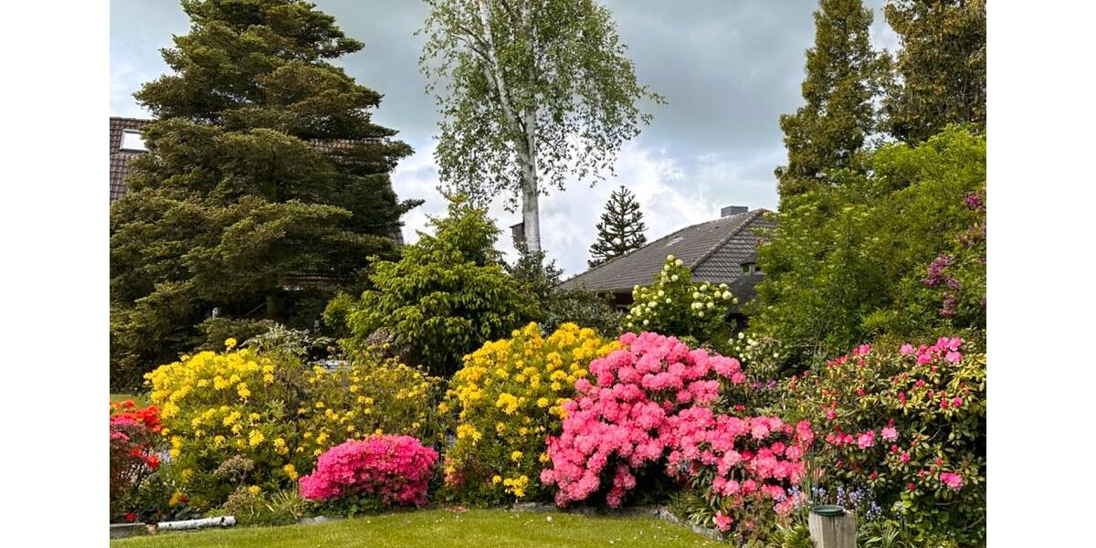 Einfamilienhaus mit vielen Möglichkeiten in ruhiger Sackgasse 6 zimmer
