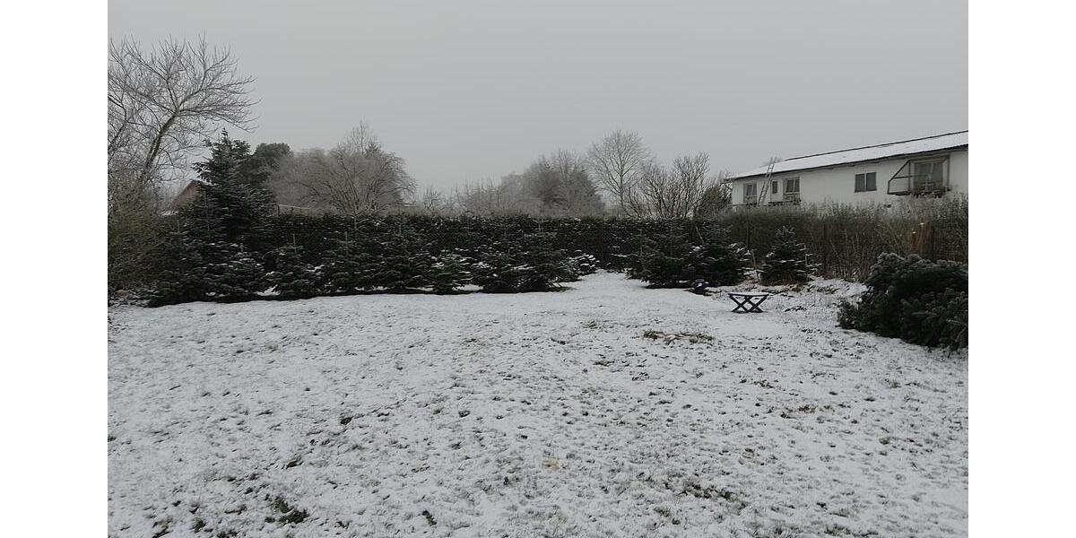 Etagenwohnung Hankensbüttel - 4 Zimmer, 120 m&sup2;, 899&euro; | Angebot:24663088