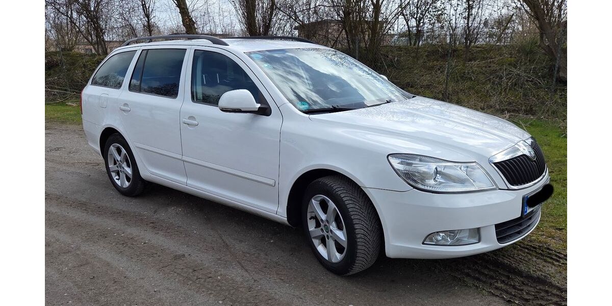 Skoda Octavia 222.400 km 3.999 &euro; Wittmund 26409