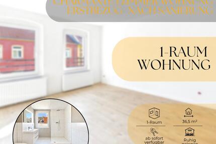 Wohnung Staßfurt - 1 Zimmer, 37 m&sup2;, 300&euro; | Angebot:26391022