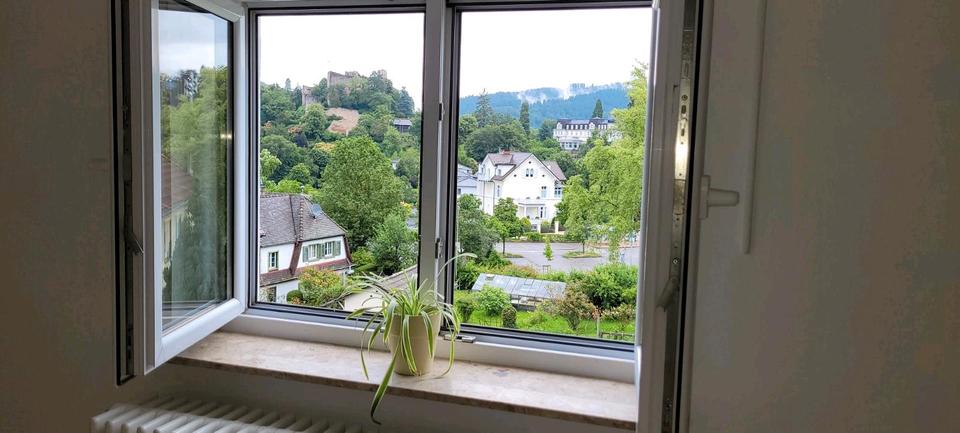 Dachgeschoßwohnung Freiburg im Breisgau Betzenhausen - 1 Zimmer, 30 m&sup2;, 124.900&euro; | Angebot:26579641