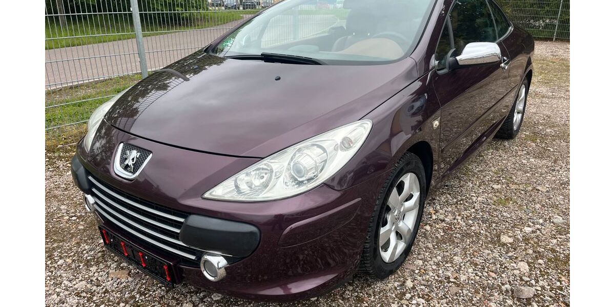 Peugeot 307 173.869 km 2.499 &euro; Delitzsch 04509