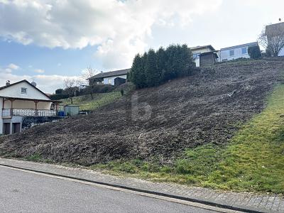TOP LAGE, VIELE BAUMÖGLICHKEITEN, 765M² - Grundstück Beckingen | Angebot:27145411