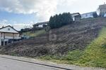 TOP LAGE, VIELE BAUMÖGLICHKEITEN, 765M² - Grundstück Beckingen | Angebot:27145411