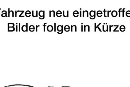 Fiat 500e 25.000 km 24.989 &euro; Speyer 67346