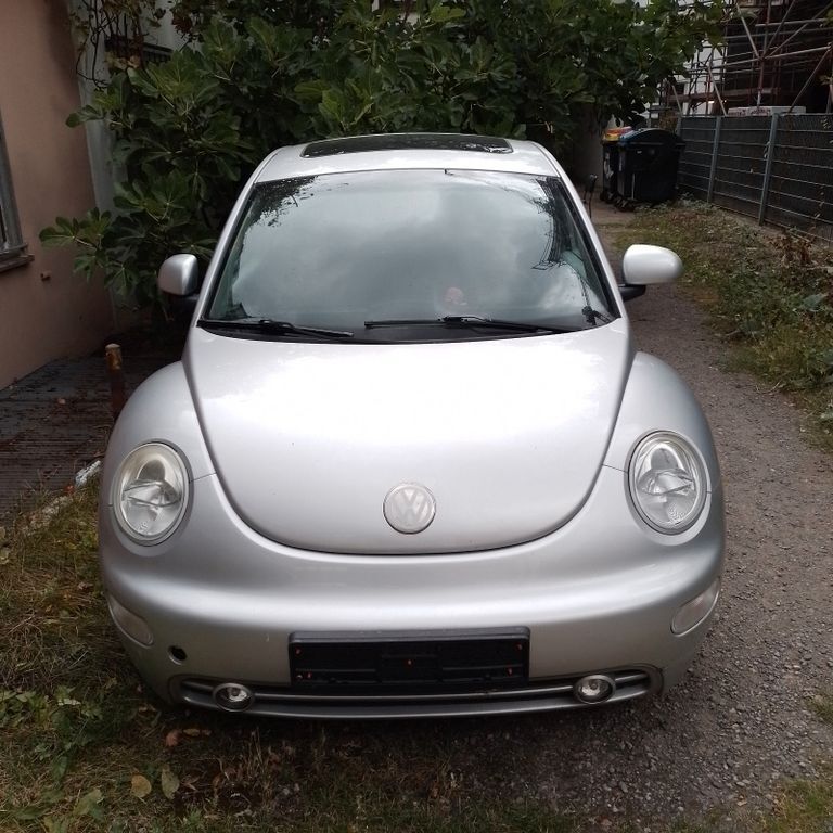 Beetle
