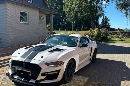 Ford Mustang 77.500 km 25.000 &euro; Sassenburg 38524