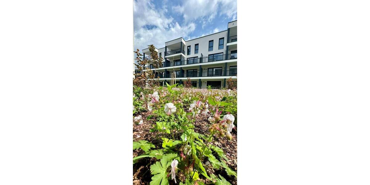 Etagenwohnung Burglengenfeld Augustenhof - 2 Zimmer, 53 m&sup2;, 259.900&euro; | Angebot:25835571