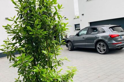Audi Q5 195.000 km 18.500 &euro; Monschau 52156