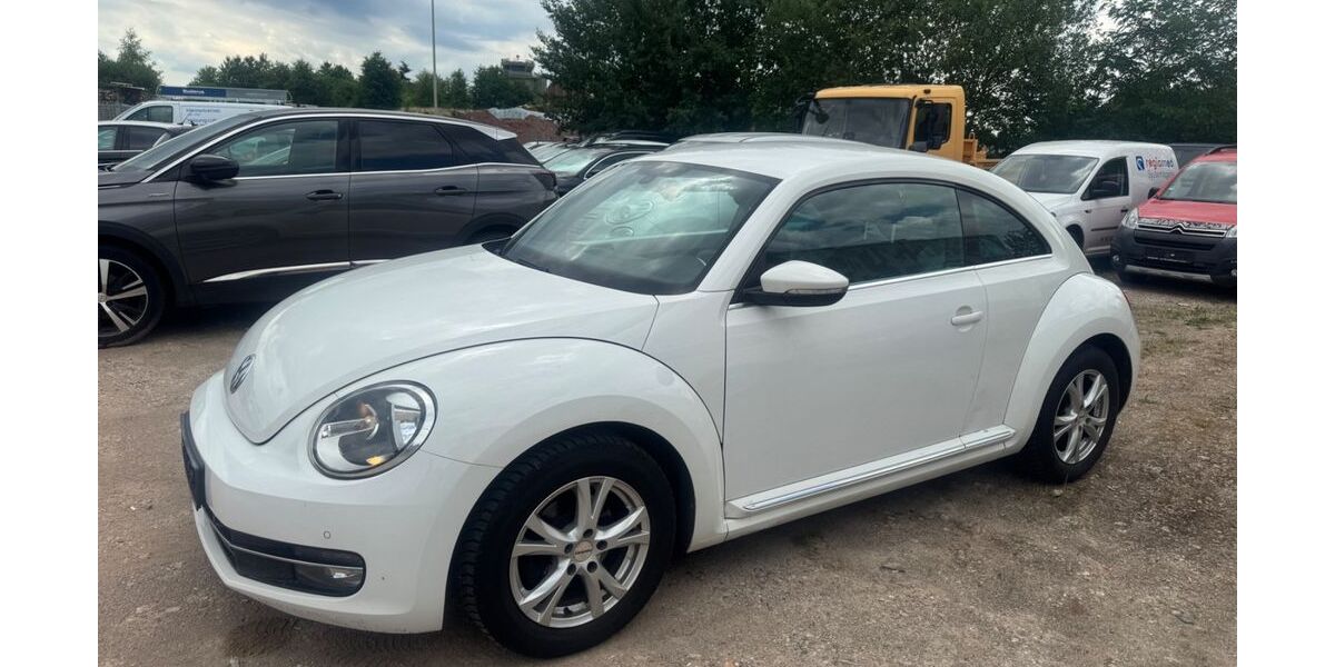 VW Beetle 172.000 km 4.400 &euro; Lambrecht 67466