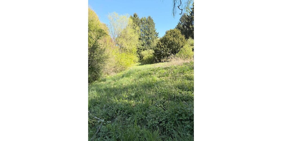 Grundstück Wuppertal Elberfeld - 150&euro; | Angebot:26313073