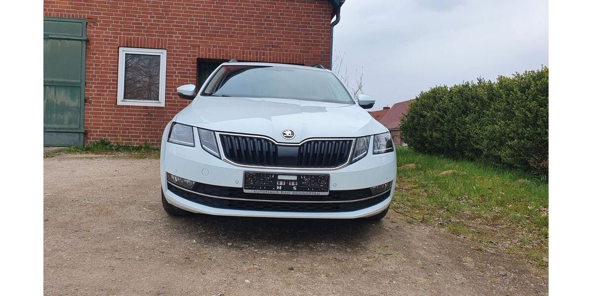 Skoda Octavia 161.539 km 11.777 &euro; Rehhorst 23619