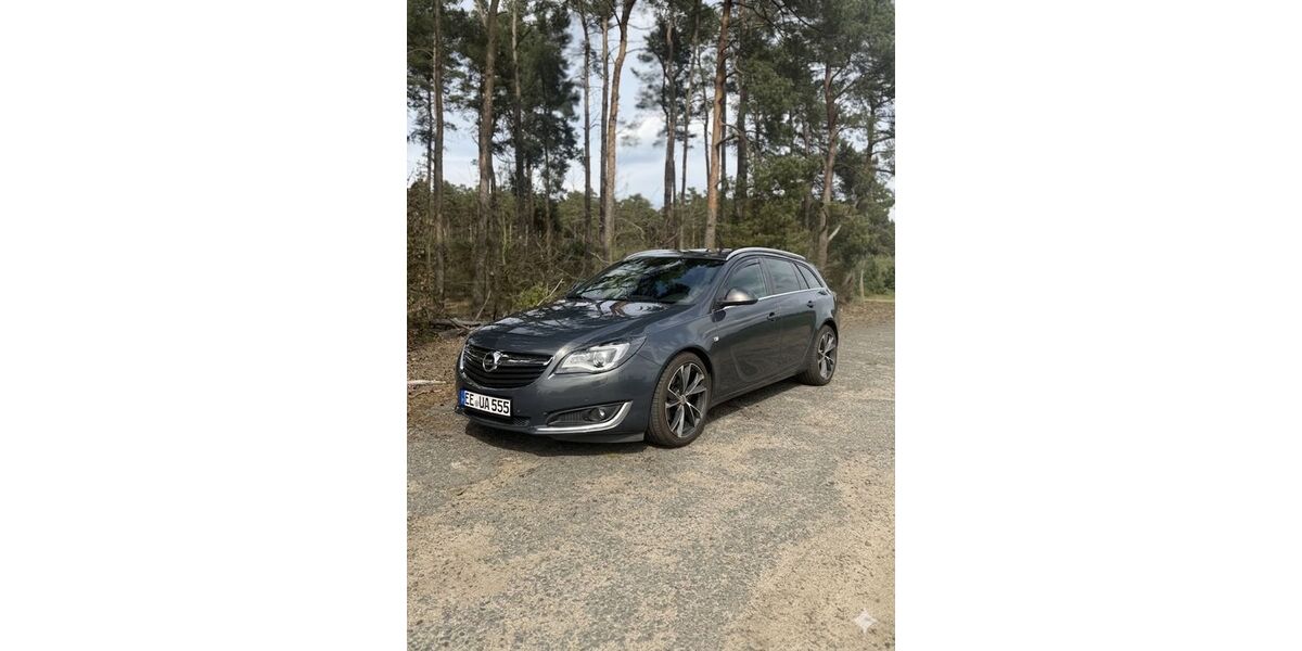 Opel Insignia 110.000 km 8.950 &euro; Herzberg 04936