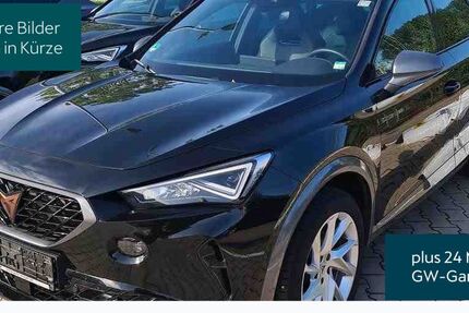 Cupra Formentor 73.776 km 23.930 € Hofheim-Diedenbergen 65719