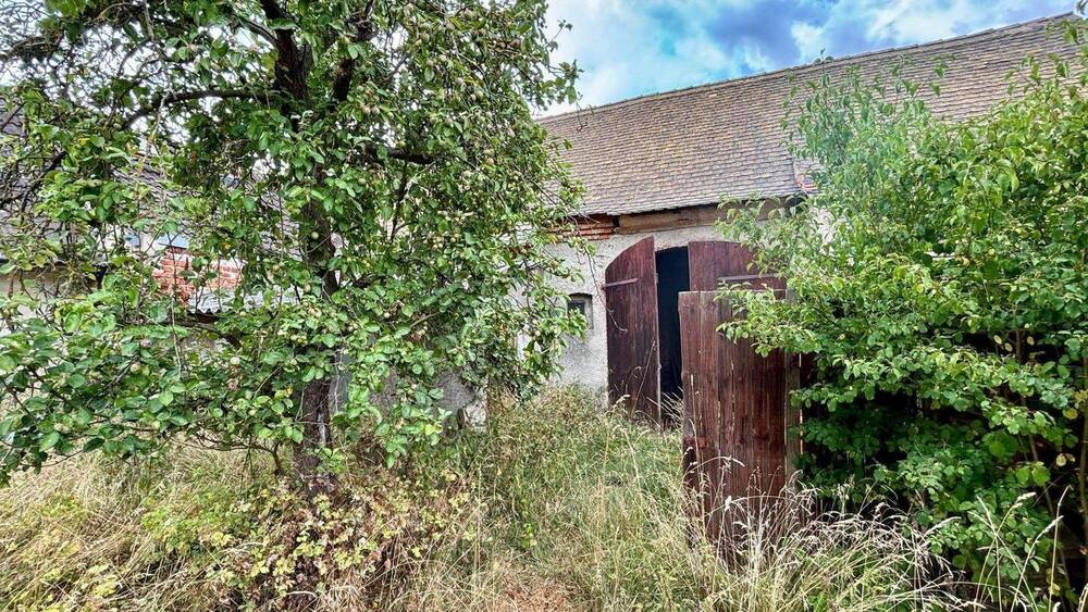 Einfamilienhaus Bad Düben Tiefensee - 3 Zimmer, 62 m&sup2;, 80.000&euro; | Angebot:25733742