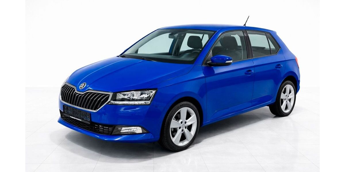 Skoda Fabia 131.000 km 8.700 &euro; Rostock 18106