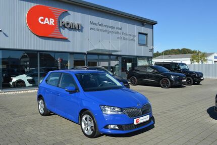 Skoda Fabia 46.900 km 10.990 € Rheinfelden 79618