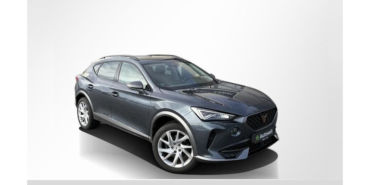 Cupra Formentor 47.500 km 22.980 &euro; Roth 91154