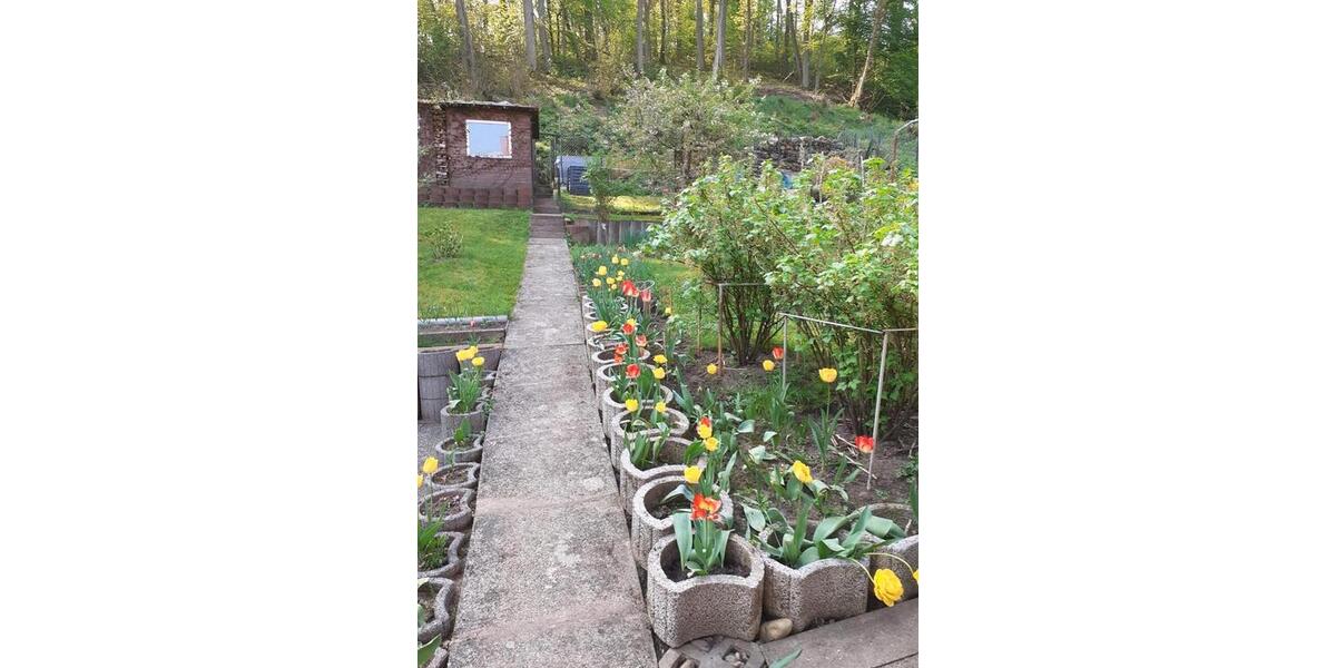 Doppelhaushälfte Blieskastel - 6 Zimmer, 125 m&sup2;, 199.000&euro; | Angebot:26765090
