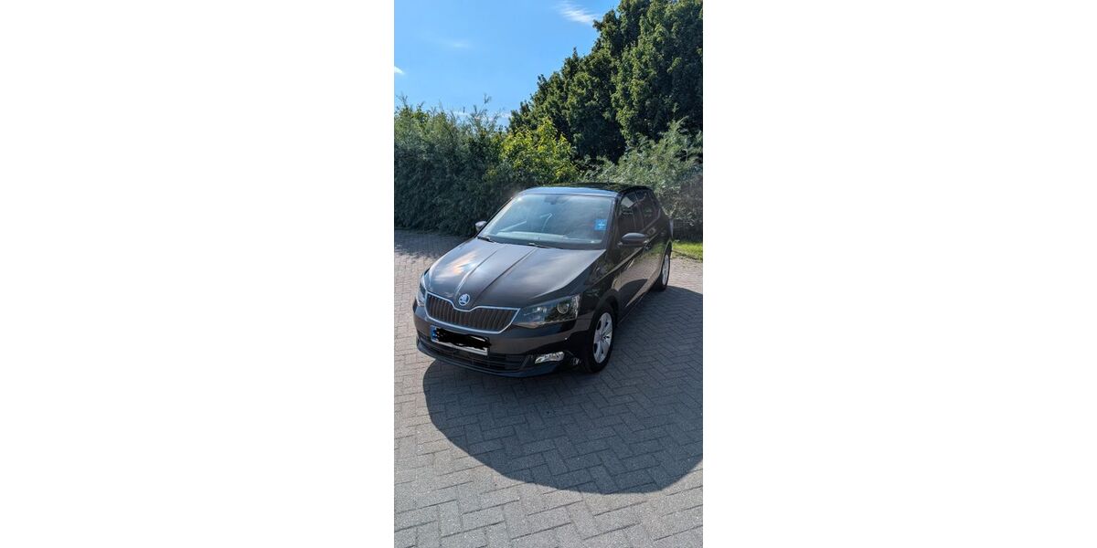 Skoda Fabia 98.901 km 11.000 &euro; Hamburg 22763