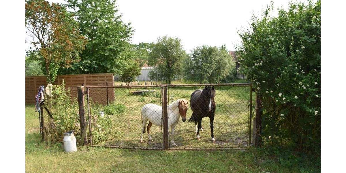 Mehrfamilienhaus, Wohnhaus Steinhöfel OT Arensdorf Arensdorf - 155.000&euro; | Angebot:25670657